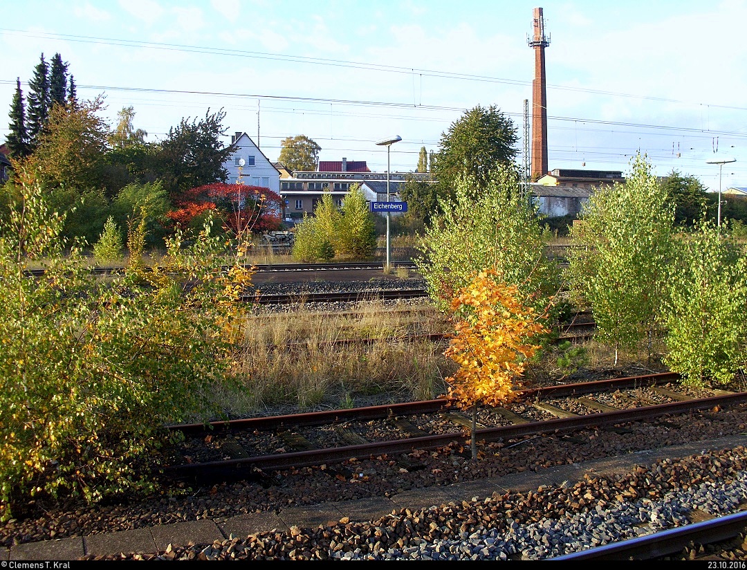 Im Einklang mit der Natur...
Manche Gleise im Bahnhof Eichenberg sind mittlerweile ungenutzt und präsentieren sich in einem bewachsenen Zustand. [23.10.2016]