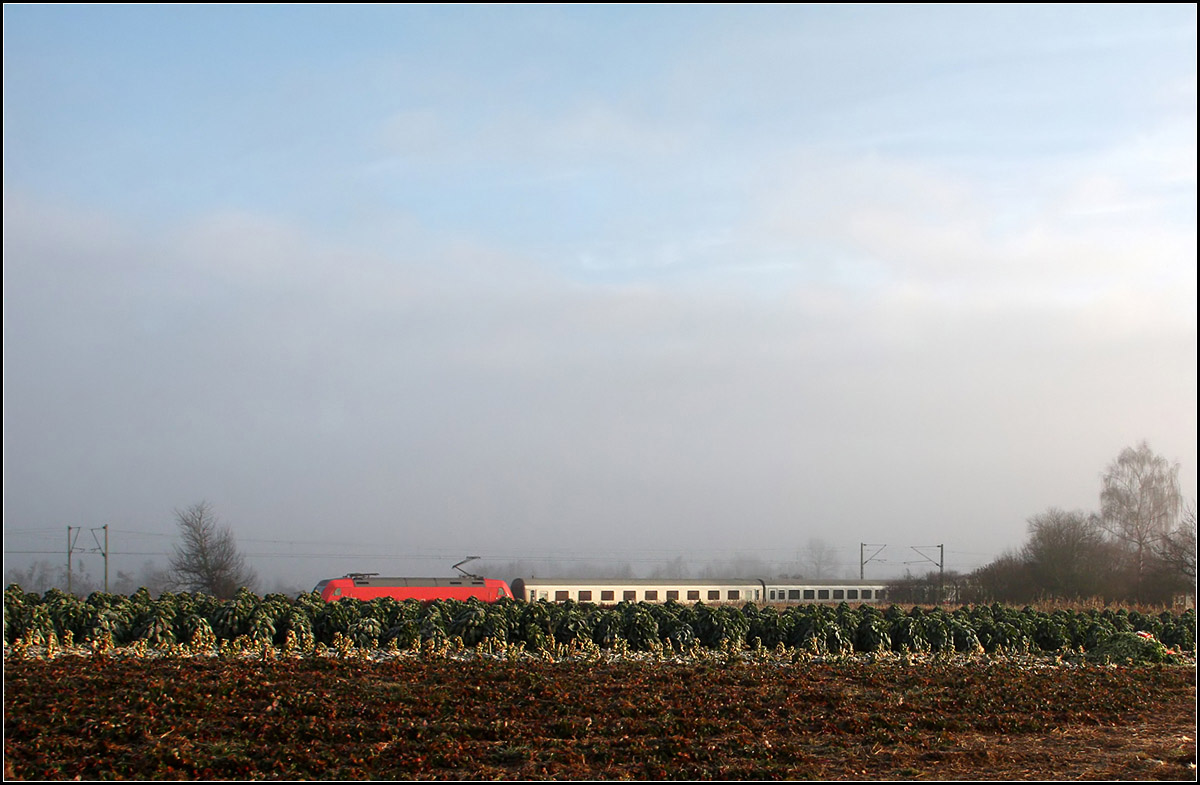 Im Einschnitt hinter dem Rosenkohl - 

...ein IC Nürnberg-Stuttgart im Remstal bei Weinstadt-Endersbach. Zu diesem und dem einen Moment später aufgenommenen Bild kann man noch ergänzen, dass ich da nicht an einem ausgesuchten Standpunkt auf einen Zug gewartet hatte, sondern dass mich der Zug auf dem Weg zu einer weiteren Stelle überrascht hat.

15.12.2016 (M)