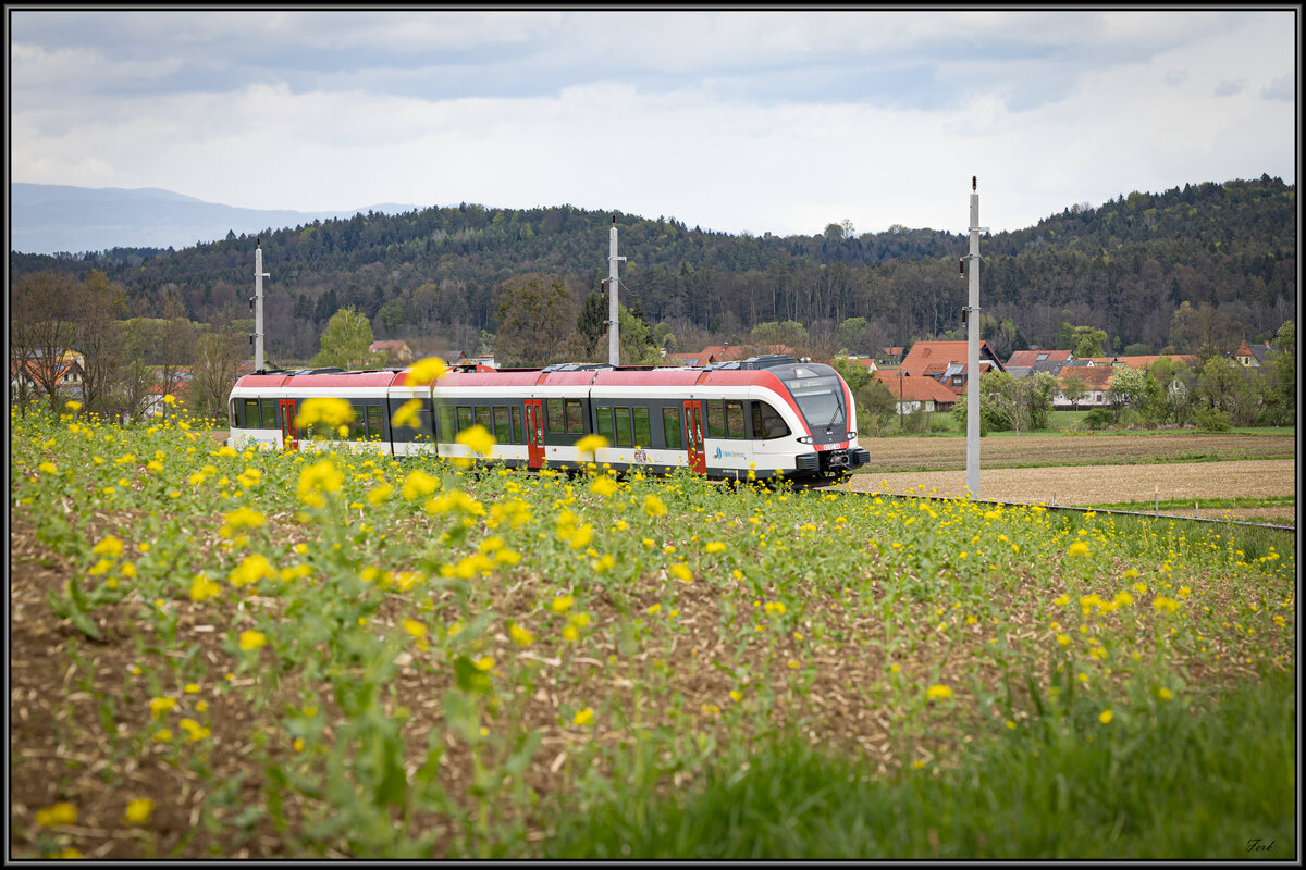 Im Ermerbogen am 27.04.2023 . Ein GTW2/8 als Zug der Linie S61 auf dem Weg nach Wies Eibiswald 