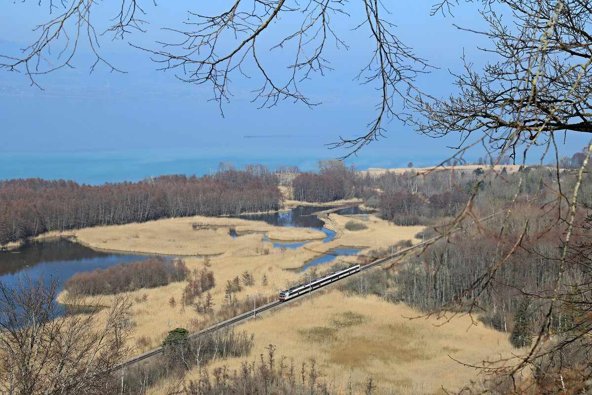 Im Feuchtgebiet La Grande Cariçaie: Ein NPZ Domino-Zug auf der Fahrt von Yverdon nach Fribourg. 10.März 2022 