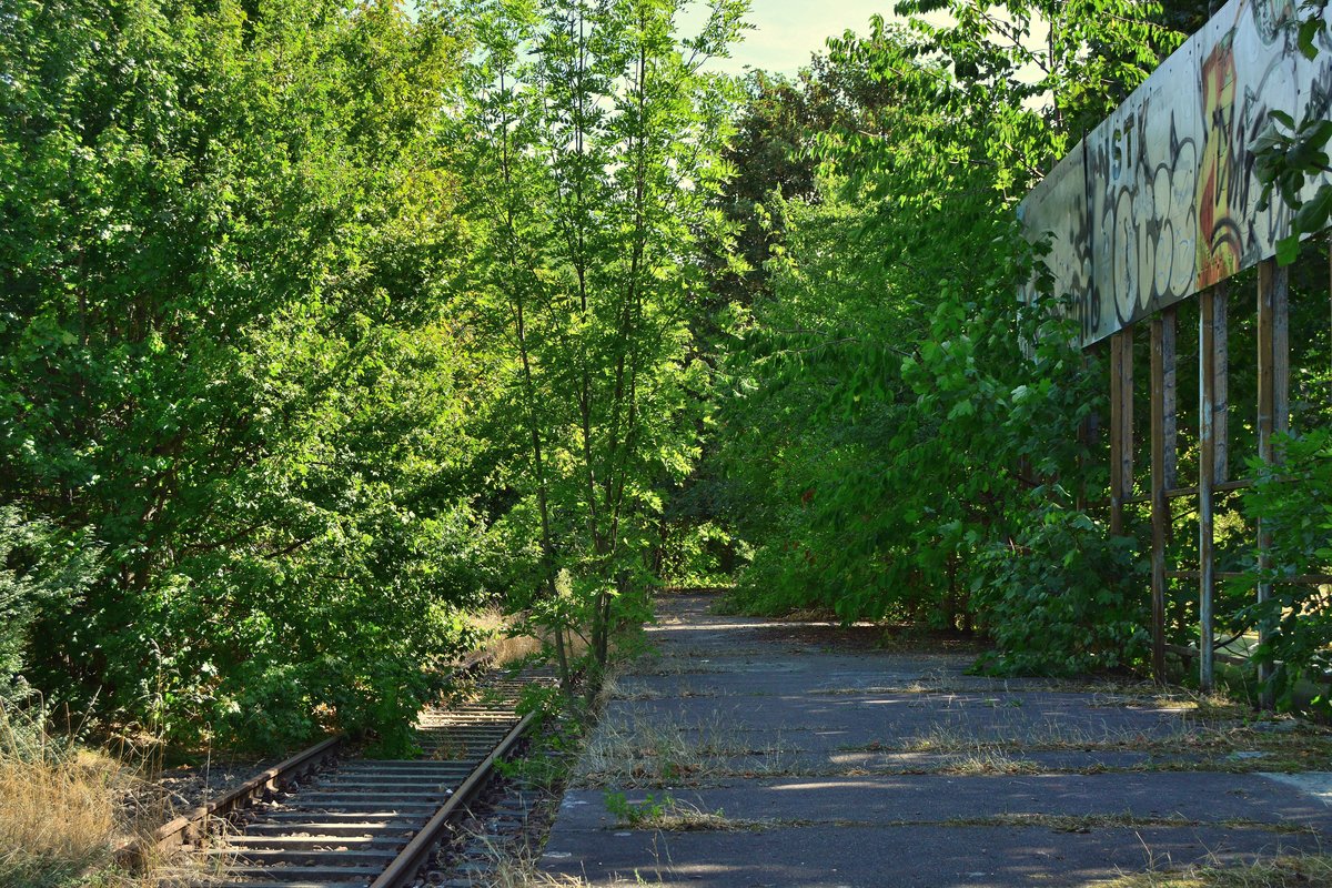 Im Gebüsch fand sich noch der Haltepunkt Györer Straße. Hier war bis 1993 Endstation der Erfurter S-Bahn. Bis 2003 hielt sich der Güterverkehr nach Marbach.
Inzwischen ist dieser Teil der Strecke in Erfurt abgebaut und für den Marbach renauturiert worden für die Bundesgartenschau 2021.

Erfurt 10.08.2018