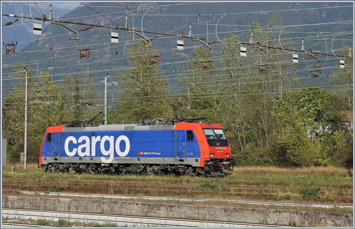 Im Grenzbereich zwischen Wechsel- und Gleichstrom wartet die SBB Re 484 008 in Domodossola auf eine RoLa von Freiburg i.B, die sie dann nach Novara bringen wird.
7. Okt. 2016
