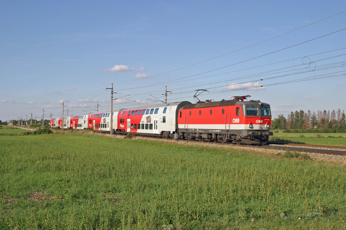 Im herrlichsten Licht fährt 1144.206 mit R-2347 bei Theresienfeld nach Wr.Neustadt. 22.9.16