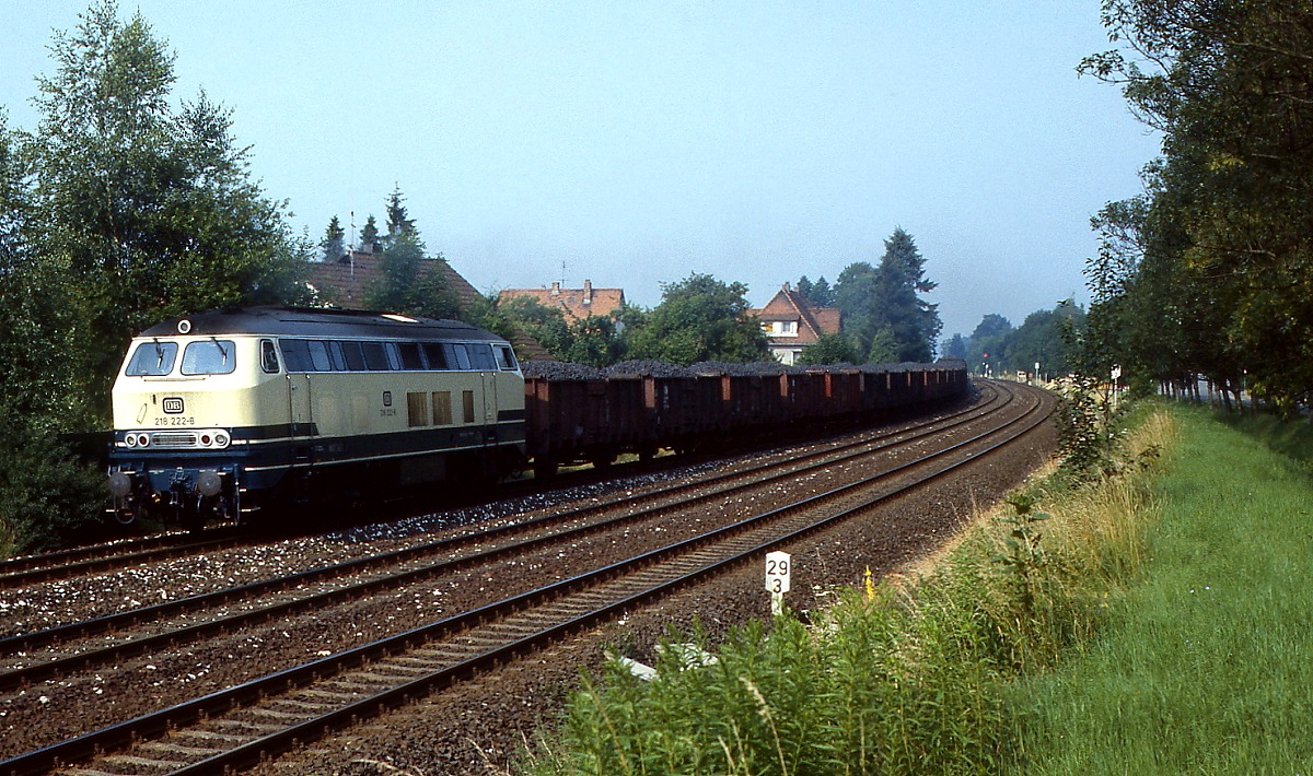 Im Juli 1985 durchfährt die 218 222-8 mit einem Kohlezug Hersbruck in Richtung Maxhütte. Die Lok befährt die eingleisige Verbindungsstrecke nach Pommelsbrunn, dort trifft sie auf die links der Pegnitz verlaufende Bahn von Nürnberg nach Amberg, die beiden Gleise im Vordergrund gehören zur Bahnstrecke Nürnberg - Bayreuth durch das Pegnitztal.