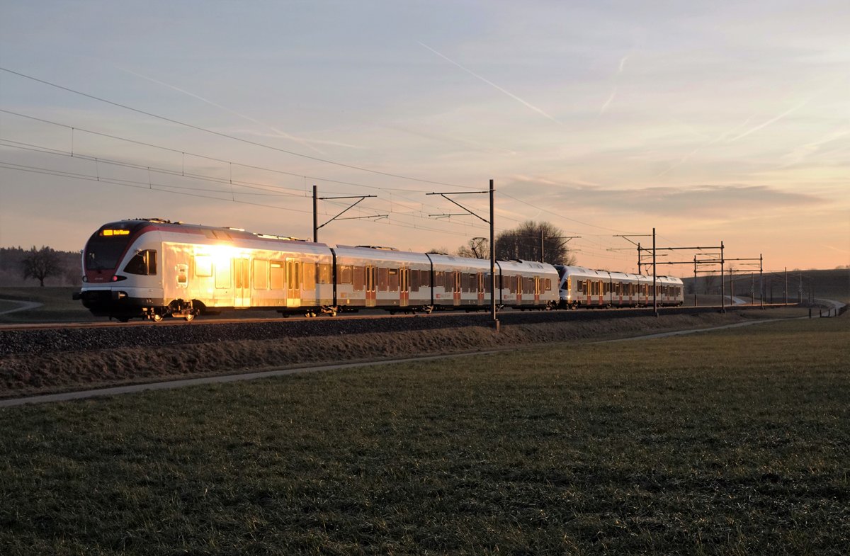 IM LETZTEN ABENDLICHT.
Verstärkter Region Olten - Biel bestehend aus zwei RABe 523 Flirt bei Niederbipp am 26. Februar 2019.
Foto: Walter Ruetsch