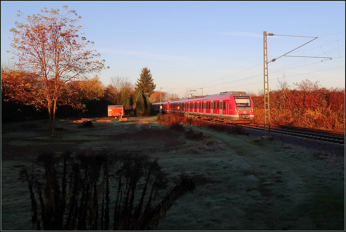 Im Licht der noch flach stehenden Sonne -

S-Bahnzug der Linie S2 auf der Remsbahn bei Weinstadt-Endersbach.

18.11.2020 (M)