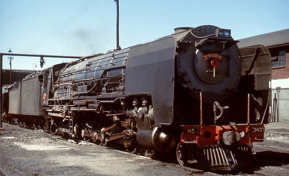 Im November 1976 steht die 25NC 3437  Trudie  im Depot De Aar. Diese 2'D2'-Lokomotiven wurden in den 1950er Jahren von deutschen und englischen Lokomotivfarbiken an die SAR geliefert und bis Anfang der 1990er Jahre planmäßig eingesetzt. Die Idee, den 25NC Mädchennamen zu geben, hatte der damalige Depotleiter. Beim Anblick dieser mächtigen Loks vergaß man schnell, dass es sich eigentlich um  Schmalspurloks  (Kapspur 1.067 mm) handelt.