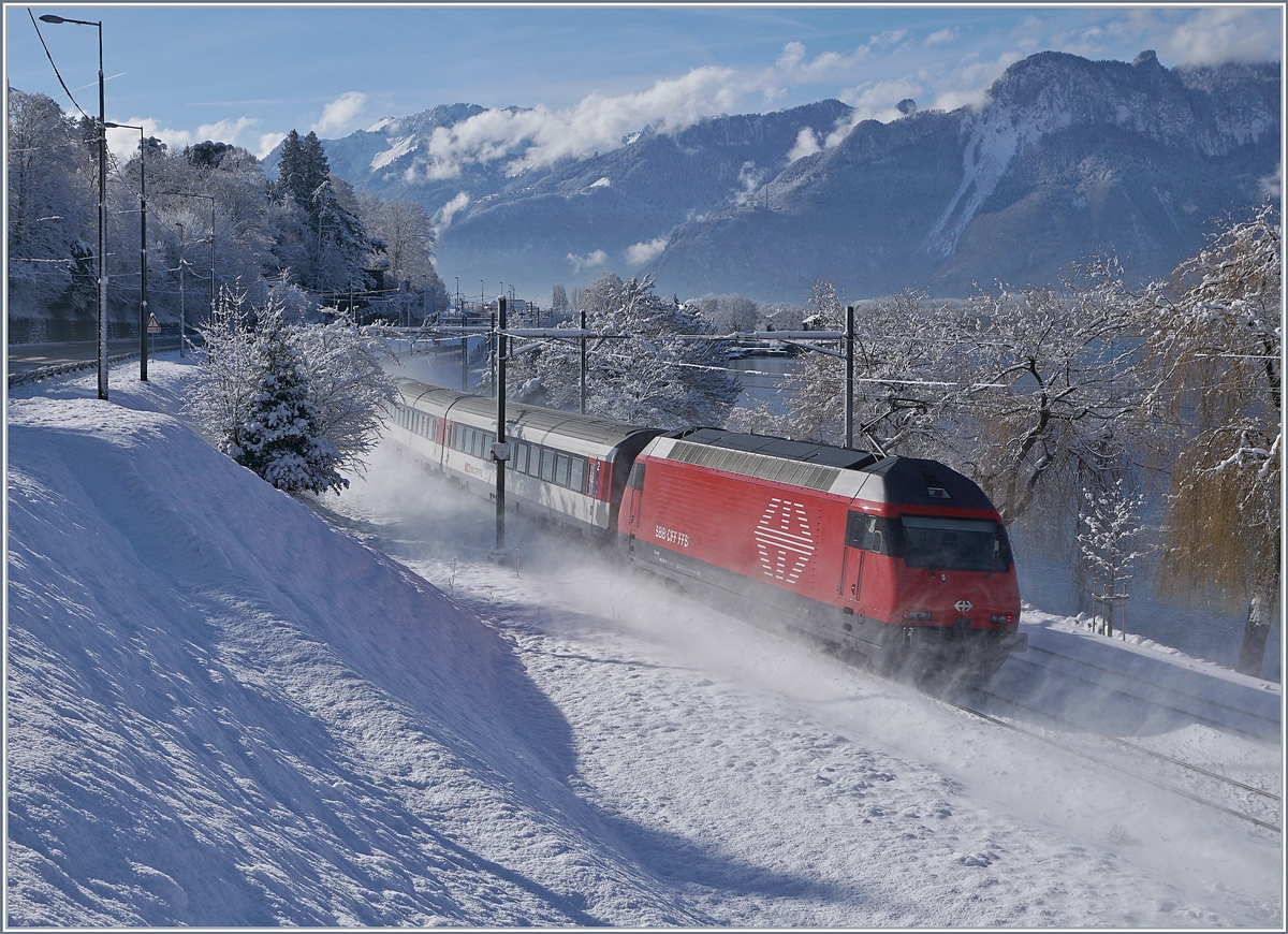 Im Pulverschnee gleitet die SBB Re 460 mit ihrem IR fast lautlos dem Genfersee entlang in Richtung Wallis. 

29. Jan. 2019