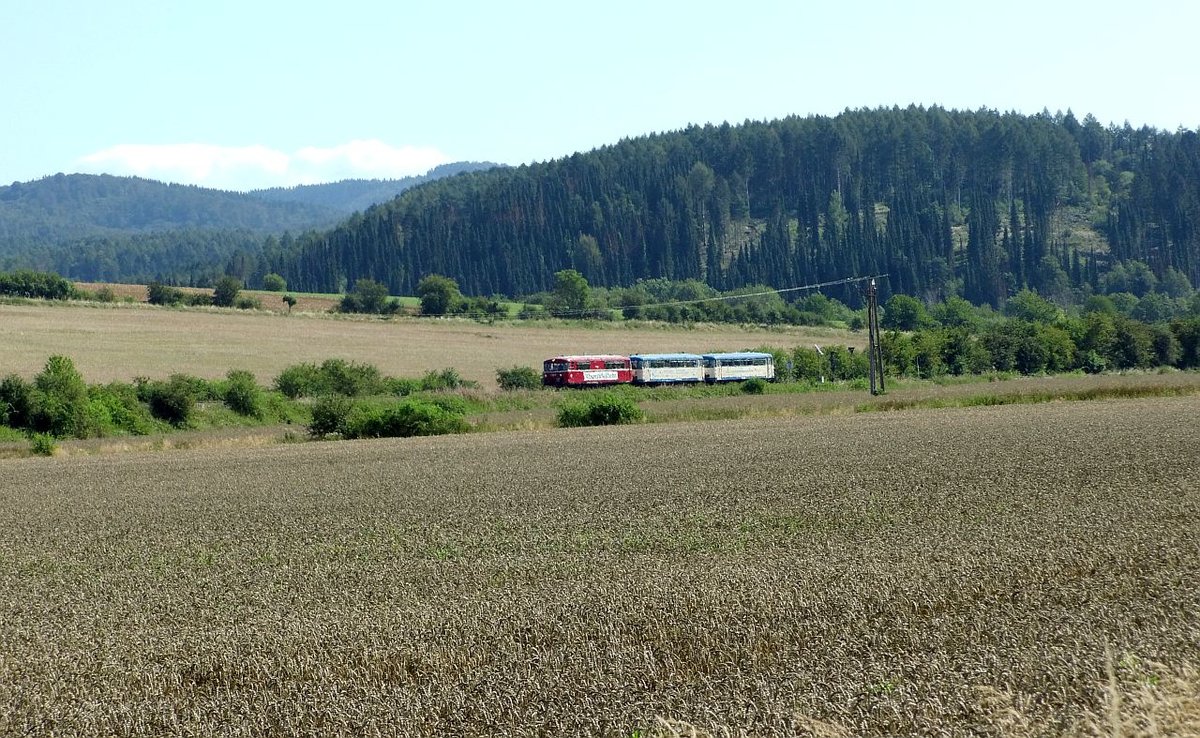 Im Rahmen der am 11.08.2019 im Bahnhof Herzberg/Harz statt gefundenen kleinen Bahnhofsfeier wurde das 150 jährige Bestehen/Eröffnung (01.08.1869)der Strecke Northeim-Nordhausen gefeiert. Einstmals bis 1945 eine der wichtigsten Magistralen im Güterfernverkehr Ruhrgebiet-Mitteldeutschland-Schlesien versank sie nach der Grenzziehung 1945 (fast) in der Bedeutungslosigkeit.Als einziger nur dem Güterverkehr vorbehaltene Grenzüberschreitende Strecke mit dem Übergang Walkenried-Ellrich konnte ihr Bestehen garantiert werden.
Es gibt an dieser landschaftlich schönen Südharzrandstrecke noch Etliches zu erkunden,ich möchte es erstmal dabei belassen.
Neben einer Fahrzeugtaufe auf den Namen  Bad Lauterberg  eines  normalen Triebwagens hatte man es geschafft, den Schienenbuszug der Wisentatalbahn komplett zu chartern, um auch noch mal auf zuzeigen, wie es in den 60gern war,als man noch als Fahrschüler nach Northeim pendelte und pünklich am Ort der Schulen abgeliefert wurde. Der Triebzug kam über Nordhausen nach Herzberg gefahren und fuhr eigentlich den ganzen Tag voll besetzt und von vielen Ehemaligen wieder erkannt zweimal nach Northeim und zurück.
Hier hat er gerade das Formvorsignal des Bahnhofs Herzberg kurz hinter Scharzfeld passiert und nimmt mit dem sonoren Brummen der zwei Diesel die letzte Steigung auf Bahnhofshöhe.     