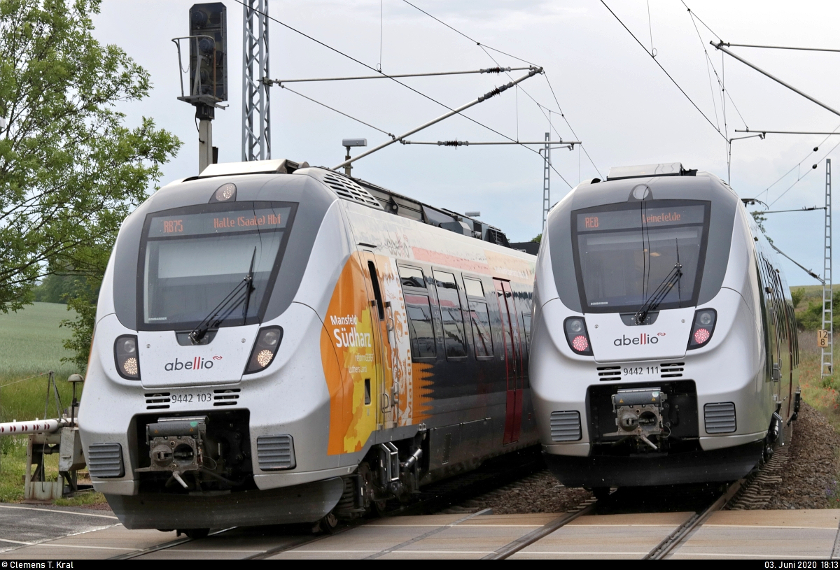 Im richtigen Moment:
9442 103  Martin Luther  (Bombardier Talent 2) der Abellio Rail Mitteldeutschland GmbH als RB 74787 (RB75) von Lutherstadt Eisleben nach Halle(Saale)Hbf und 9442 111 als RE 74732 (RE8) von Halle(Saale)Hbf nach Leinefelde begegnen sich im Hp Zscherben auf der Bahnstrecke Halle–Hann. Münden (KBS 590).
Aufgenommen am Ende des Bahnsteigs 1.
[3.6.2020 | 18:13 Uhr]