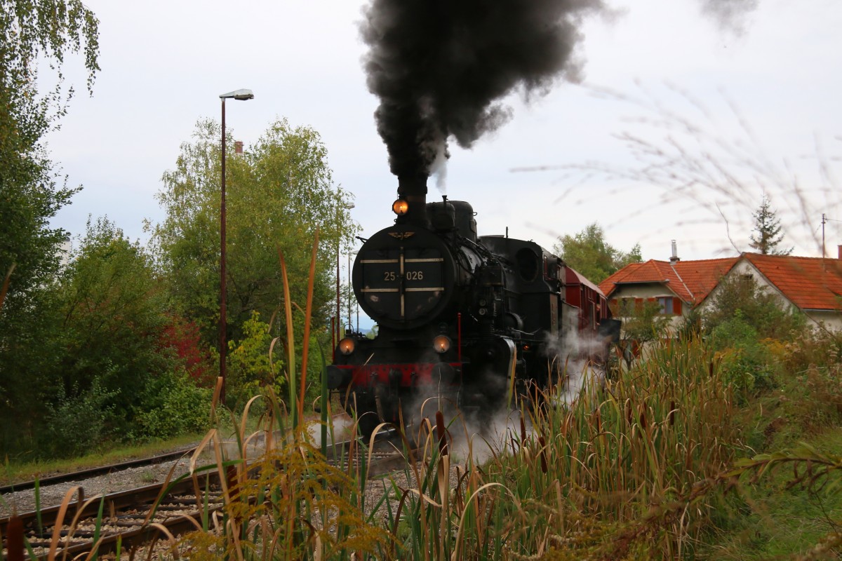Im Schilf tuckert 25.026 herum. Industriegebiet Celje am 24.September 2015