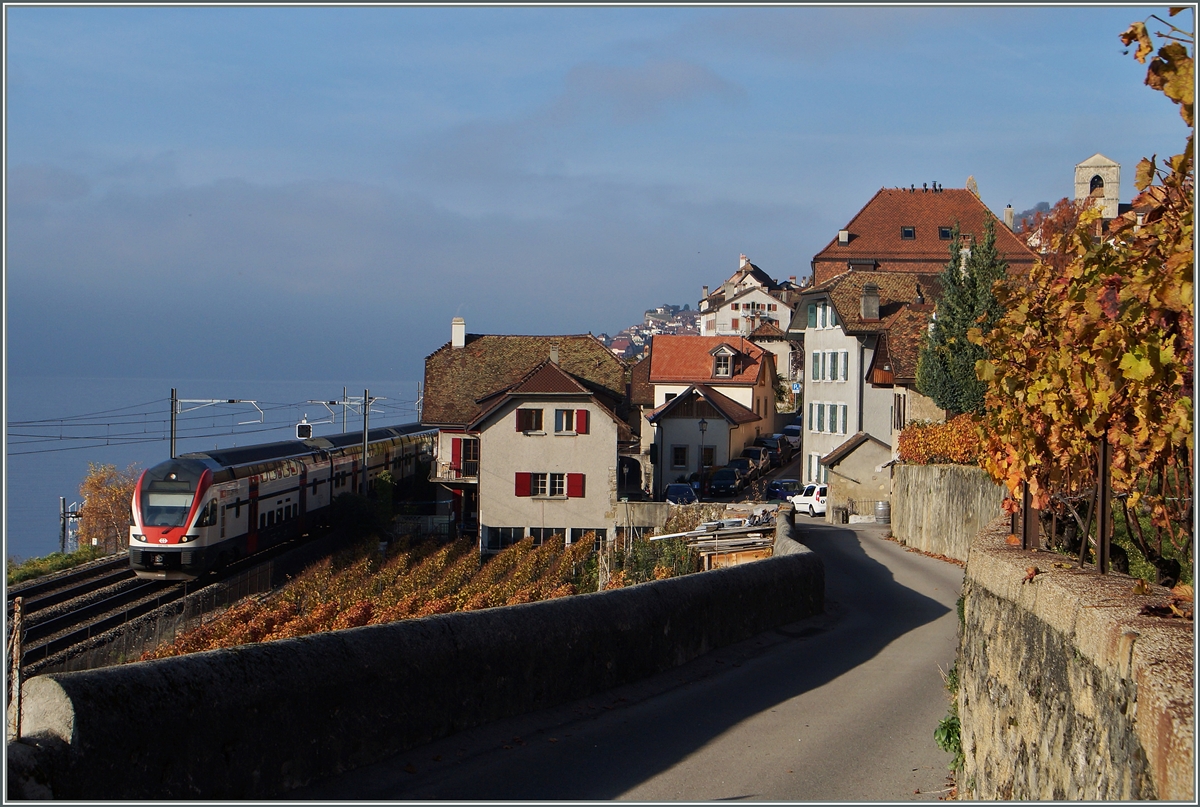 Im Spätherbst fährt ein SBB RABe 511 als RE, von Genève nach Vevey unterwegs, am Genfer See bei St-saphorin vorbei. 
22. Nov. 2014 