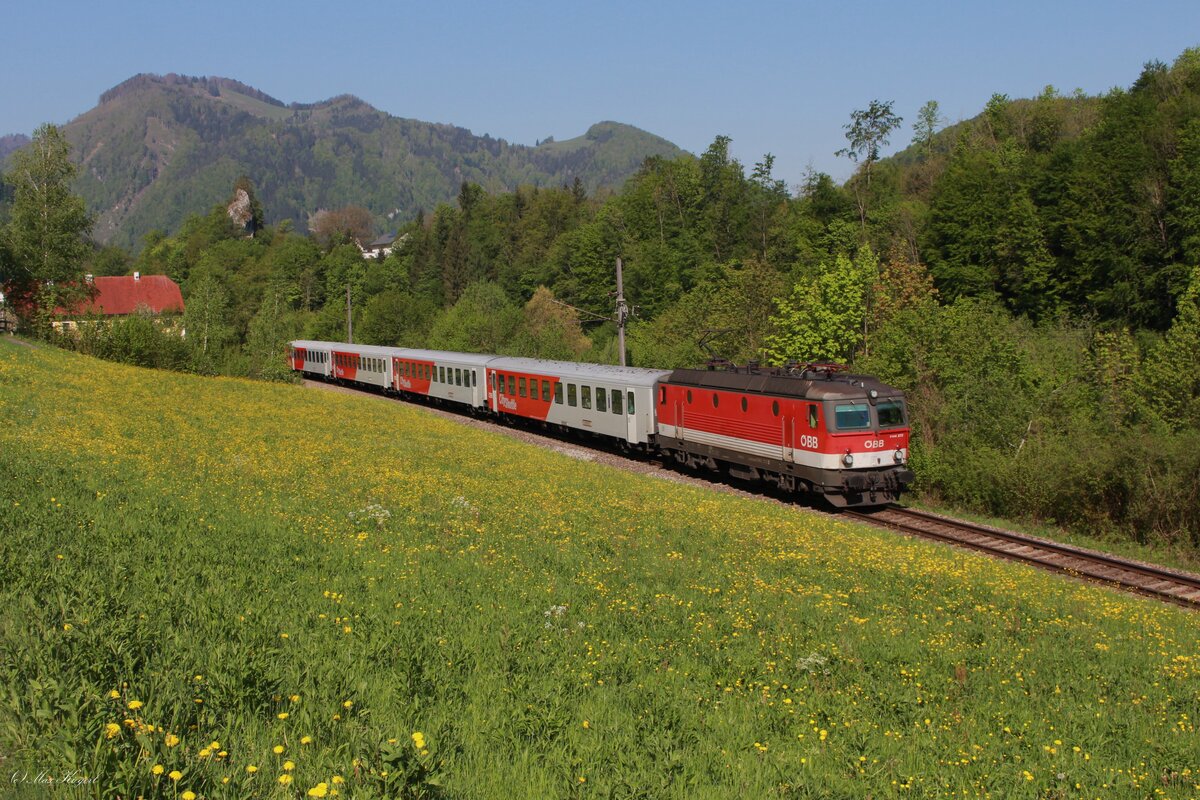 Im Traunviertel entlang der Enns führt die Kronprinz Rudolf Bahn von St.Valentin in Richtung Süden entlang von malerischer Landschaft und durch kleine Ortschaften.
Hier fährt am 28.4.2025 die 1144 272 mit dem REX3607 von Linz Hbf nach Kleinreifling kurz hinter Trattenbach ihrem Ziel entgegen.
Dieser ist einer von zwei Wendezugumläufen auf dieser Strecker und soll im Juni durch Triebwagen ersetzt werden.