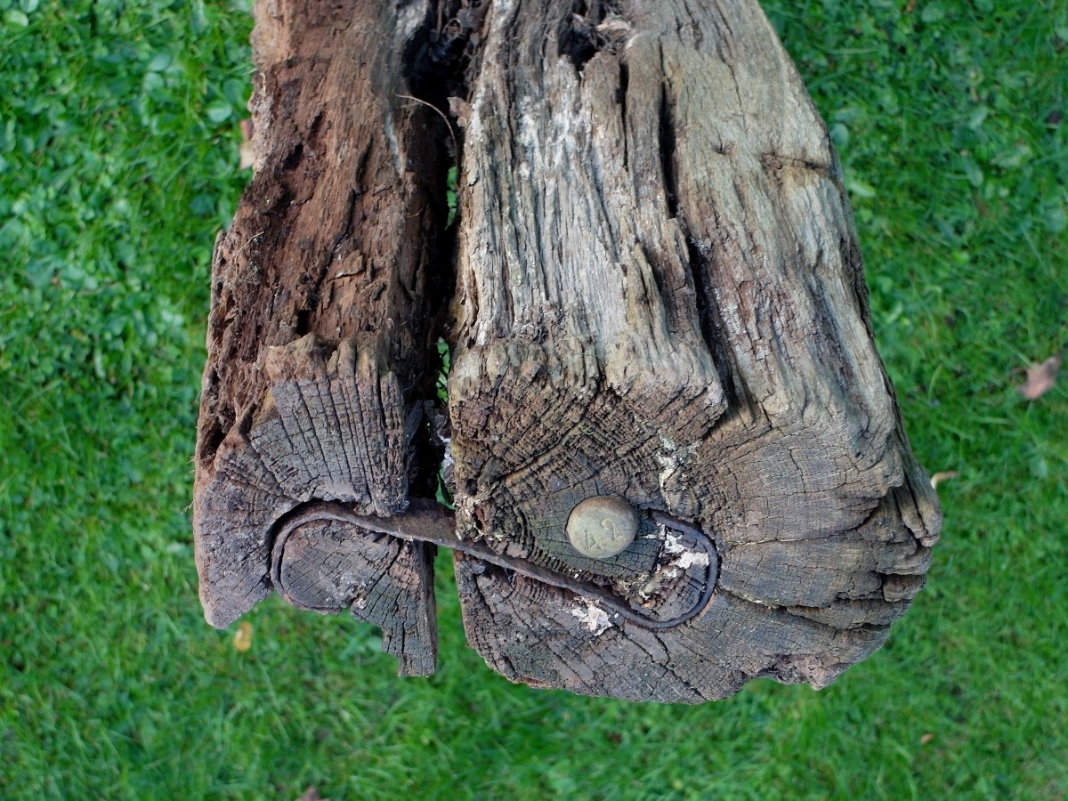 Im übernommenen Garten fand ich diese alte Schwelle. Die Stahlkralle hat wohl das Spalten des Holzes verhindert bzw. aufgehalten. Tja, so bin ich unverhofft Eigentümer des Teils einer (ehemaligen) bahntechnischen Anlage geworden, Oktober 2014
