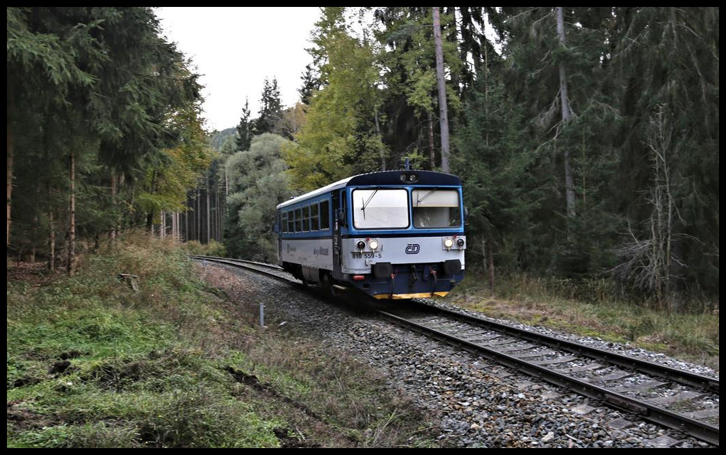 Im Waldgebiet südlich von Becov nad Teplou ist hier der CD 810559-5 am 18.10.2021 um 17.13 Uhr unterwegs. Der Triebwagen hat die Zugnummer 16710 und befährt die komplette Strecke von Rakovnik bis Becov nad Teplou.