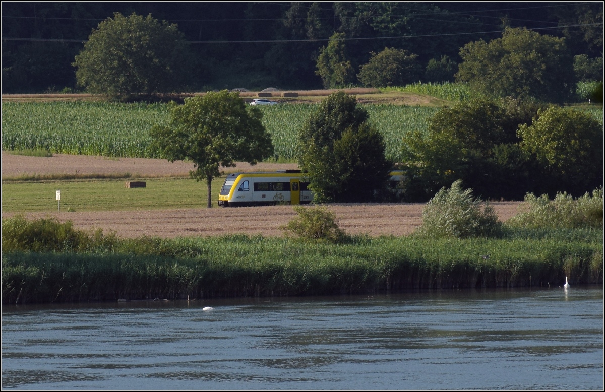 Impression vom Hochrhein.

Dem Oberwasser vom Kraftwerk Ryburg-Schwrstadt sieht man das Hochwasser nicht an, dahinter zeigt sich ein 612. Mhlin, Juli 2021. 