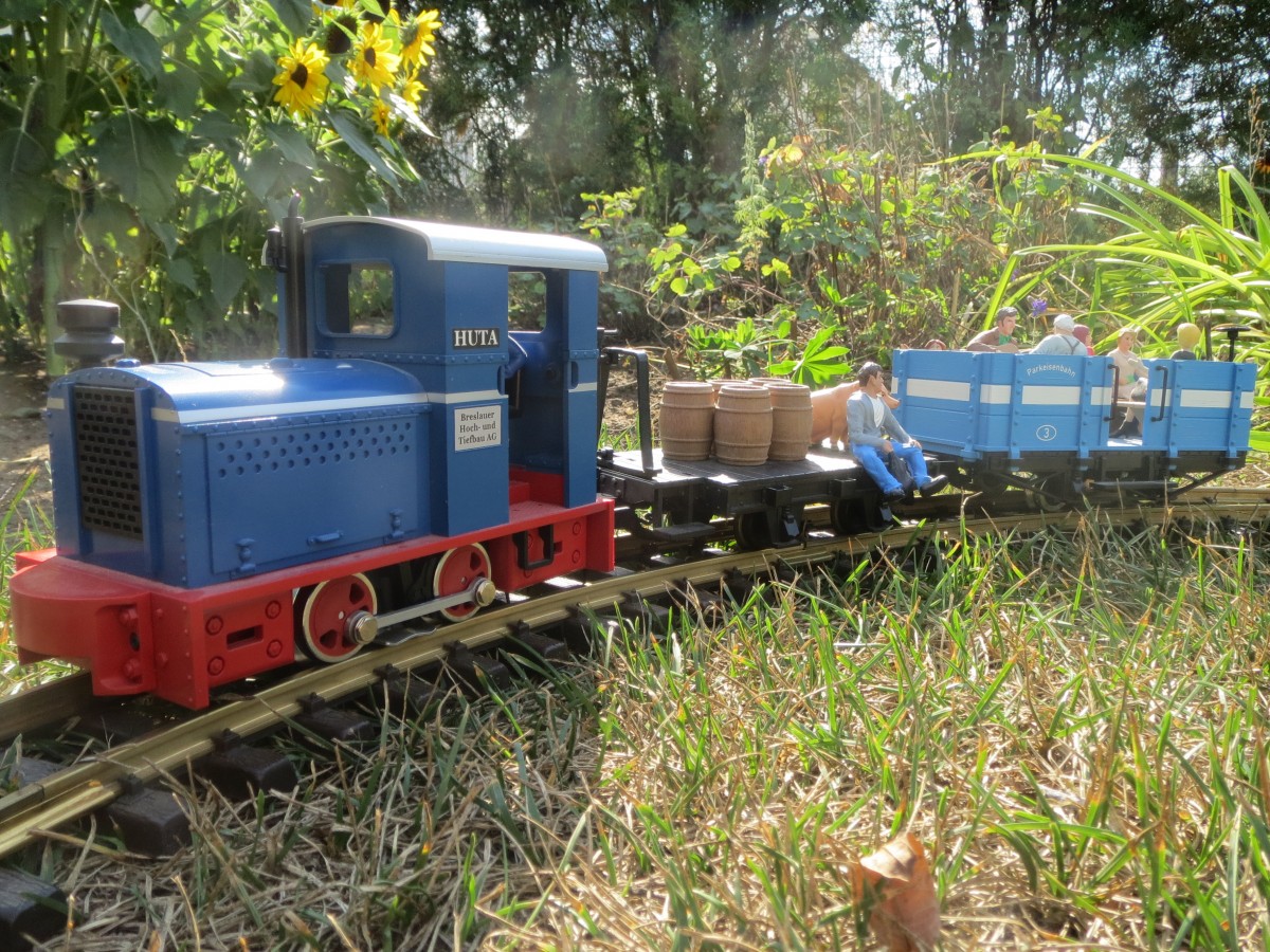 Impression meiner LGB-Bahn in meinem Garten in Kandrzin-Cosel (Kedzierzyn-Kozle).  Einfache Umbeschriftung der LGB-Phantasielackierung der Deutz-Feldbahn-Lok  Jonny  in Anlehnung an die Deutz 19716 von 1937  OMZ 122 F  der Hoch- & Tiefbau AG Breslau (poln. Wroclaw), kurz: HUTA. Die Maschine kam spter zum Kieswerk F.W. von Blow Segrahner Berg in Gudow und 1987 zum Deutschen Dampflokmuseum (DDM) in Neuenmarkt-Wirsberg, von dort 1990 zur Arbeitsgemeinschaft Muttenthalbahn e.V., Witten an der Ruhr als Lok  15 . Aufnahme vom 30.08.2013