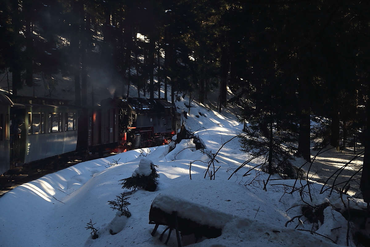 Impressionen aus dem talfahrenden Sonderzug der IG HSB am 13.02.2015 zwischen Brockenbahnhof und Schierke (Bild 3). Gerade hat der Zug das  Schwarze Schluftwasser  überquert und taucht jetzt wieder in den dunklen Harzwald ein, wobei die durch die Baumkronen fallenden Sonnenstrahlen zahllose leuchtende Flecken auf den Schnee zaubern.