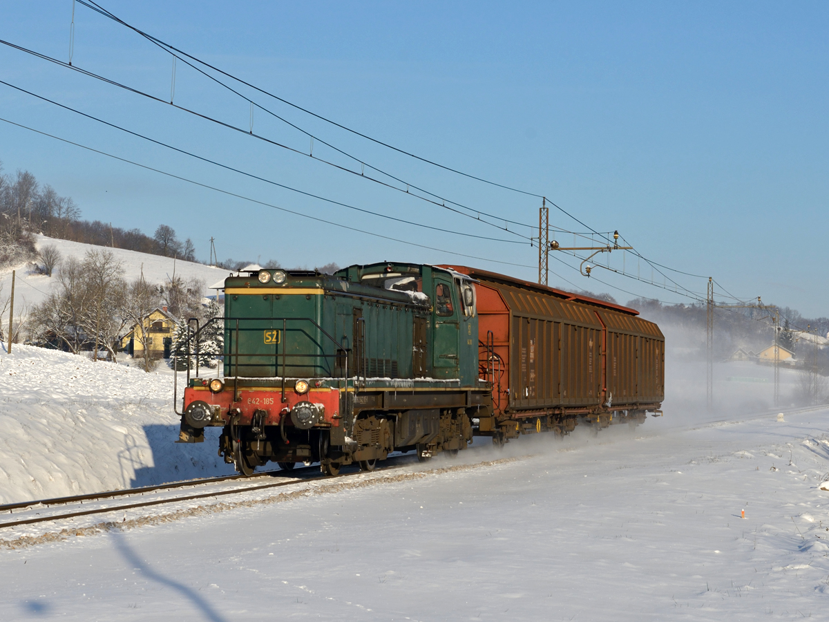 In den 1960er Jahren fertigte Đuro Đaković  in Lizenz von Brissonneau et Lotz  vierachsige dieselelektrische Lokomotiven mit einer Leistung von 425 kW, einem Gesamtgewicht von  67 Tonnen und einer Vmax von 80 km/h. Nachdem Zerfall Jugoslawiens sind die Maschinen in Kroatien als HZ 2041 sowie in Slowenien als SZ 642 zu finden.

Am 29. Dezember erwischte ich in Cirknica die 642 185 mit einem Güterzug von Sentilj nach Maribor Tezno. 
