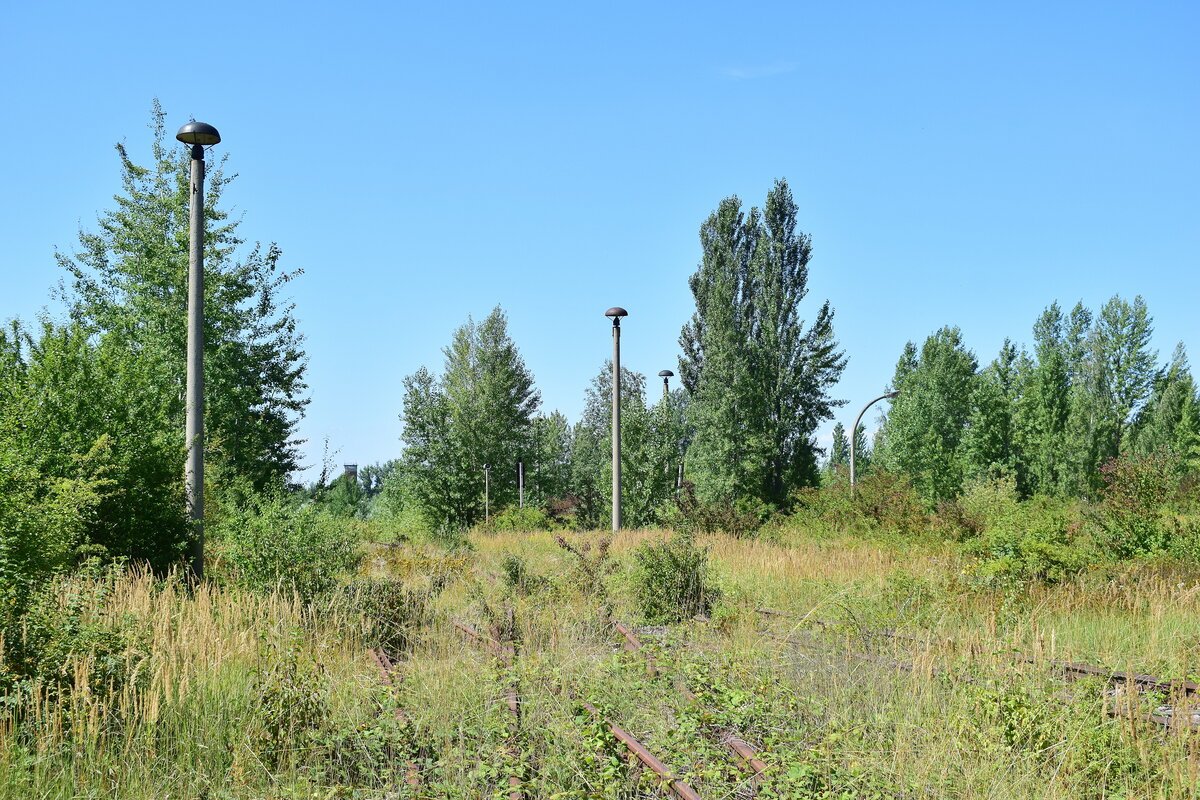 In Braunsbedra umweit des Bahnhofes gab es bis Ende der 90er Jahre die Mineralölwerke Lützkendorf. Heute zeugen nur noch die alten Wege sowie einzelne Gleisanlagen und einzelne Gebäuderuinen von der einstigen Raffinerie.

Braunsbedra 14.08.2021