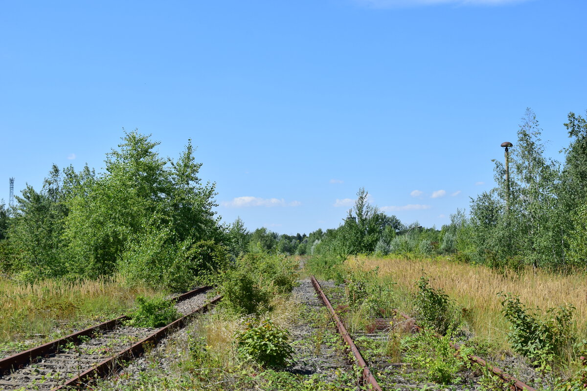 In Braunsbedra umweit des Bahnhofes gab es bis Ende der 90er Jahre die Mineralölwerke Lützkendorf. Heute zeugen nur noch die alten Wege sowie einzelne Gleisanlagen und einzelne Gebäuderuinen von der einstigen Raffinerie. 2 lange Abstellgleise liegen bis heute und könnten mit wenig Aufwand auch wieder genutz werden. Blick in Richtung Prellböcke.

Braunsbedra 14.08.2021