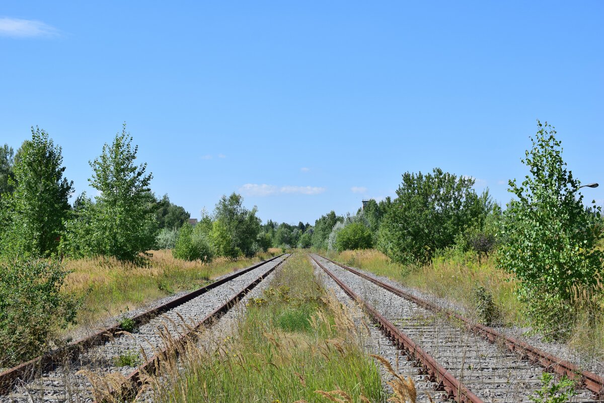 In Braunsbedra umweit des Bahnhofes gab es bis Ende der 90er Jahre die Mineralölwerke Lützkendorf. Heute zeugen nur noch die alten Wege sowie einzelne Gleisanlagen und einzelne Gebäuderuinen von der einstigen Raffinerie. 2 lange Abstellgleise liegen bis heute und könnten mit wenig Aufwand auch wieder genutz werden. Nach einigen Metern scheint das Gleis vor wenigen Jahren auf einer Länge komplett erneuert worden zu sein. Blick in Richtung der Prellböcke.

Braunsbedra 14.08.2021