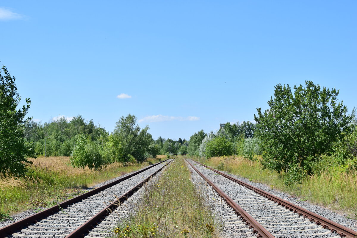 In Braunsbedra umweit des Bahnhofes gab es bis Ende der 90er Jahre die Mineralölwerke Lützkendorf. Heute zeugen nur noch die alten Wege sowie einzelne Gleisanlagen und einzelne Gebäuderuinen von der einstigen Raffinerie. 2 lange Abstellgleise liegen bis heute und könnten mit wenig Aufwand auch wieder genutz werden. Es schaut schon sehr kurios aus wenn in einem sehr zugewachsenen Gleis ca 100-150m vor wenigen Jahren ausgetauscht wurden und das Gleis somit wie neu aussieht. Blick in Richtung der Prellböcke.

Braunsbedra 14.08.2021