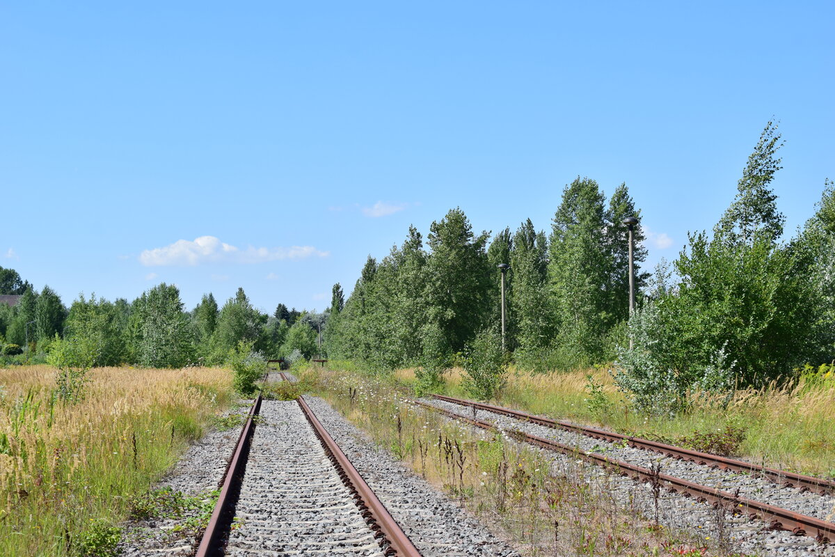 In Braunsbedra umweit des Bahnhofes gab es bis Ende der 90er Jahre die Mineralölwerke Lützkendorf. Heute zeugen nur noch die alten Wege sowie einzelne Gleisanlagen und einzelne Gebäuderuinen von der einstigen Raffinerie. 2 lange Abstellgleise liegen bis heute und könnten mit wenig Aufwand auch wieder genutz werden. Kurz vor den Prellböcken enden die ereuerten Gleise und es kommt wieder Vegetation durch den Schotter.

Braunsbedra 14.08.2021 