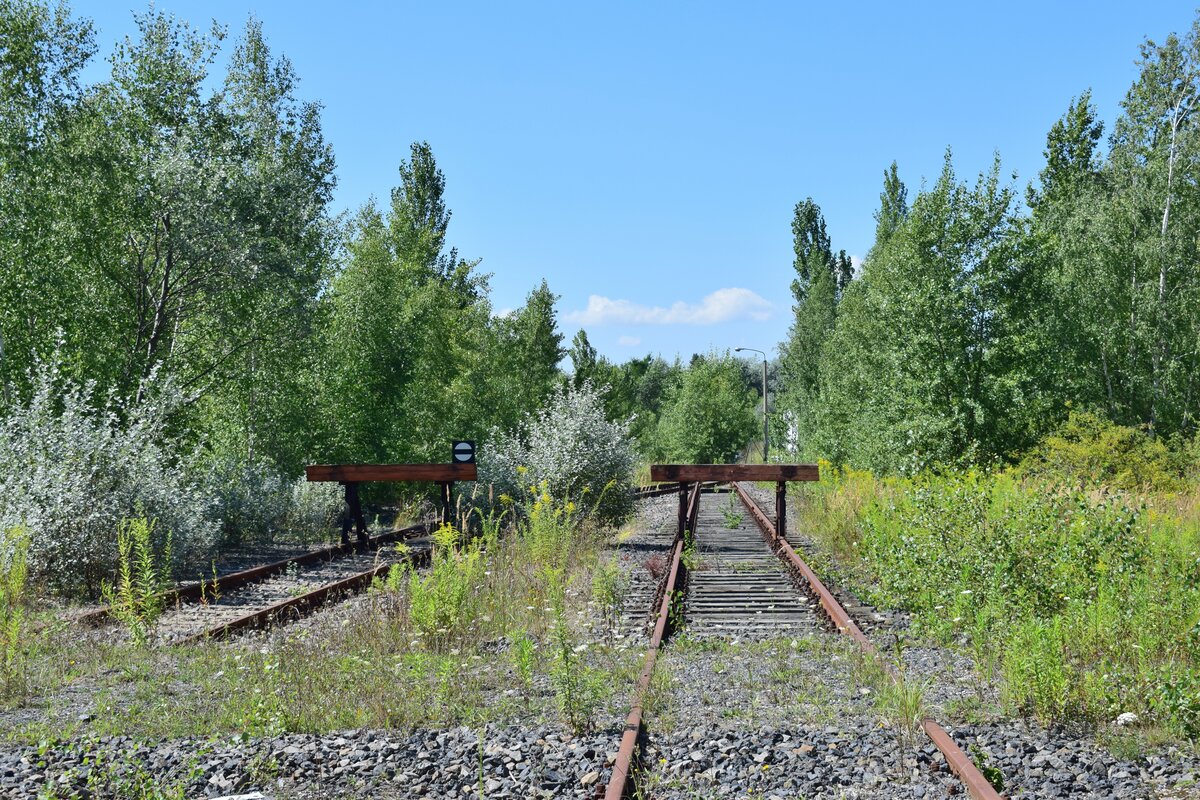 In Braunsbedra umweit des Bahnhofes gab es bis Ende der 90er Jahre die Mineralölwerke Lützkendorf. Heute zeugen nur noch die alten Wege sowie einzelne Gleisanlagen und einzelne Gebäuderuinen von der einstigen Raffinerie. 2 lange Abstellgleise liegen bis heute und könnten mit wenig Aufwand auch wieder genutz werden. Blick auf die Prellböcke und das heutige Ende der beiden Anschlussgleise.

Braunsbedra 14.08.2021