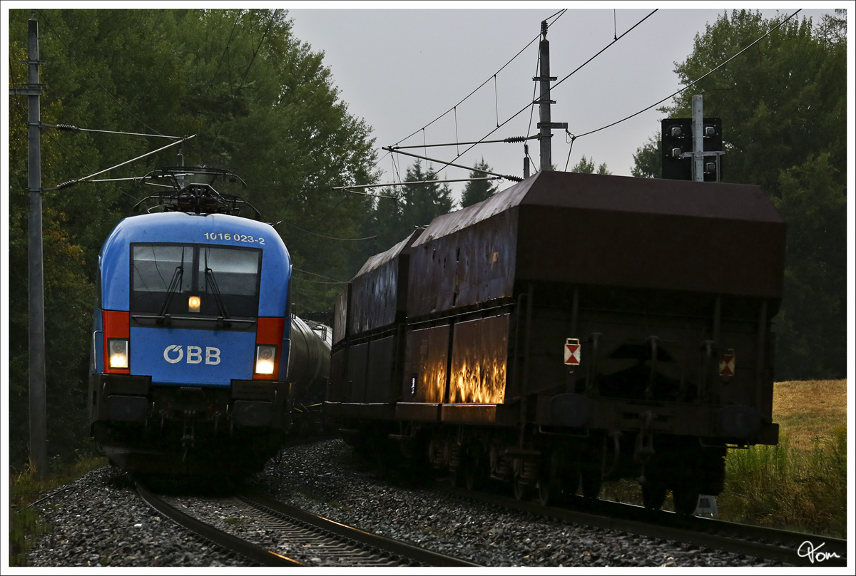 In der Dmmerung, fhrt 1016 023  Kyoto  mit einem Kesselzug durch das Aichfeld. 
Zeltweg 13.8.2013