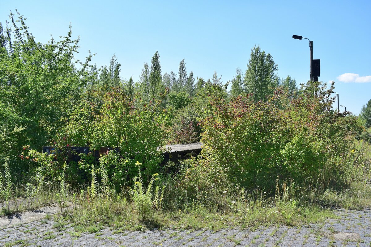 In dem ganzen Grün fand man sogar noch einen alten Flachwagen von der ehemaligen Werksbahn. Es war der alte Werksbahn Wagen Nummer 3. Seine letzte Untersuchung war am 26.6.95. In Braunsbedra umweit des Bahnhofes gab es bis Ende der 90er Jahre die Mineralölwerke Lützkendorf. Heute zeugen nur noch die alten Wege sowie einzelne Gleisanlagen und einzelne Gebäuderuinen von der einstigen Raffinerie. 

Braunsbedra 14.08.2021