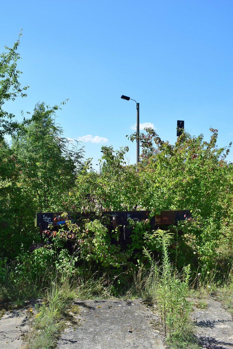 In dem ganzen Grün fand man sogar noch einen alten Flachwagen von der ehemaligen Werksbahn. Es war der alte Werksbahn Wagen Nummer 3. Seine letzte Untersuchung war am 26.6.95. In Braunsbedra umweit des Bahnhofes gab es bis Ende der 90er Jahre die Mineralölwerke Lützkendorf. Heute zeugen nur noch die alten Wege sowie einzelne Gleisanlagen und einzelne Gebäuderuinen von der einstigen Raffinerie. 

Braunsbedra 14.08.2021