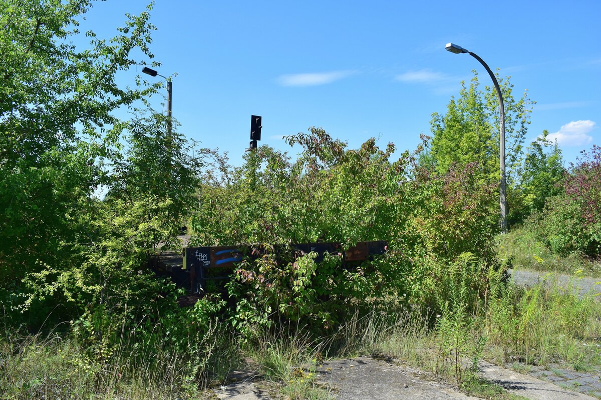 In dem ganzen Grün fand man sogar noch einen alten Flachwagen von der ehemaligen Werksbahn. Es war der alte Werksbahn Wagen Nummer 3. Seine letzte Untersuchung war am 26.6.95. In Braunsbedra umweit des Bahnhofes gab es bis Ende der 90er Jahre die Mineralölwerke Lützkendorf. Heute zeugen nur noch die alten Wege sowie einzelne Gleisanlagen und einzelne Gebäuderuinen von der einstigen Raffinerie. 

Braunsbedra 14.08.2021