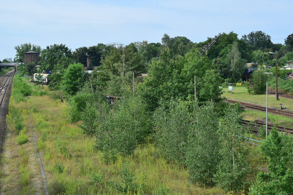 In dem Grün in Leipzig Plagwitz erkennt man heute noch einen alten Bahnsteig sowie das Gerippe des Wetterschutzhäuschens.

Leipzig 09.08.2021