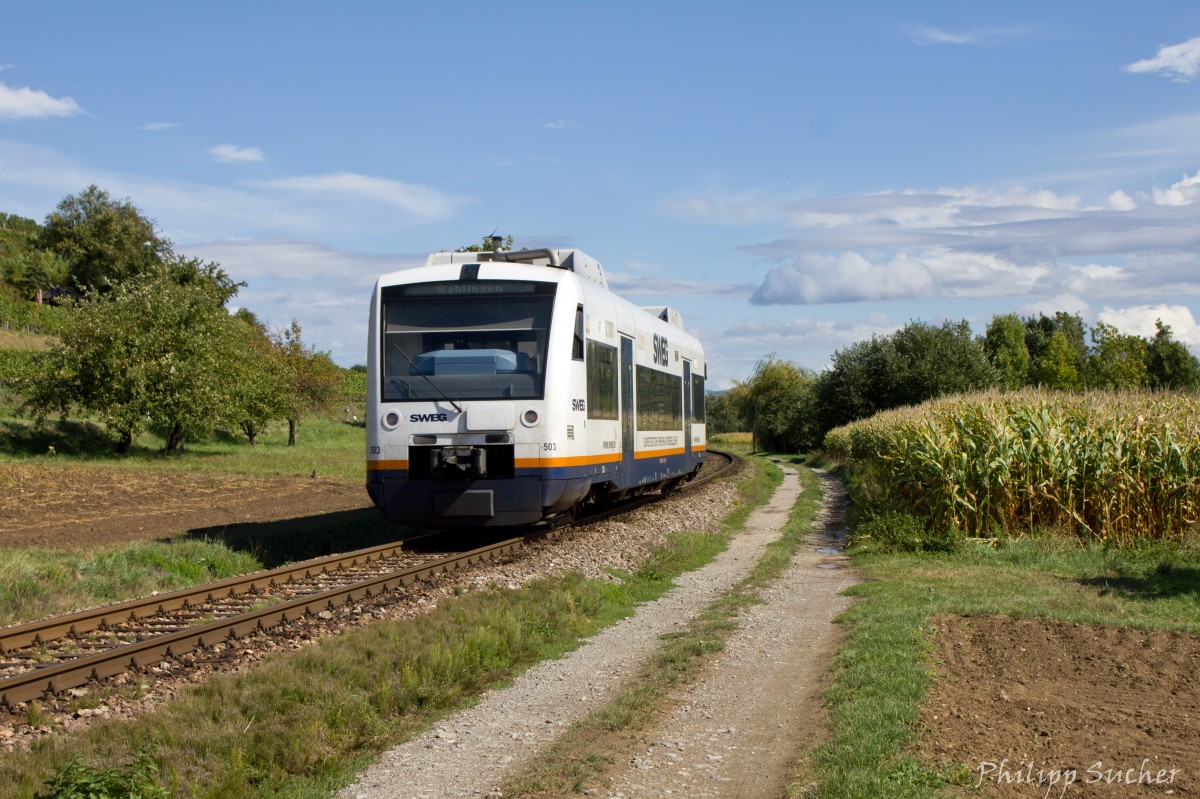 In den Feldern vor Bötzingen ist am 14.09.2015 der SWEG VT 503 auf dem Weg nach Bahlingen.