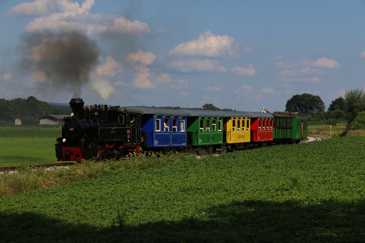 In Frischer Farbe und Bunt Dampft der Flascherlzug durchs Stainztal . Vorbei an Maisfeldern  Plunzenäckern  und Bohnen bieten  die frisch lackierten Wagen ein Farbenfrohes Bild. 1Juli 2016 bei Herbersdorf.