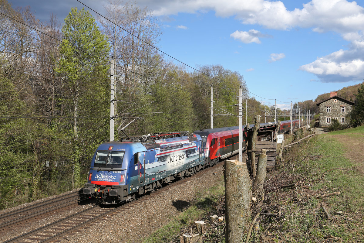 In frischer Frühlingsstimmung fährt Achensee 1216.019 mit RJ-132 im neu ausgeschnittenen Streckenabschnitt zwischen Payerbachgraben-Viadukt und Schwarzatal-Viadukt in Payerbach am 13.4.18