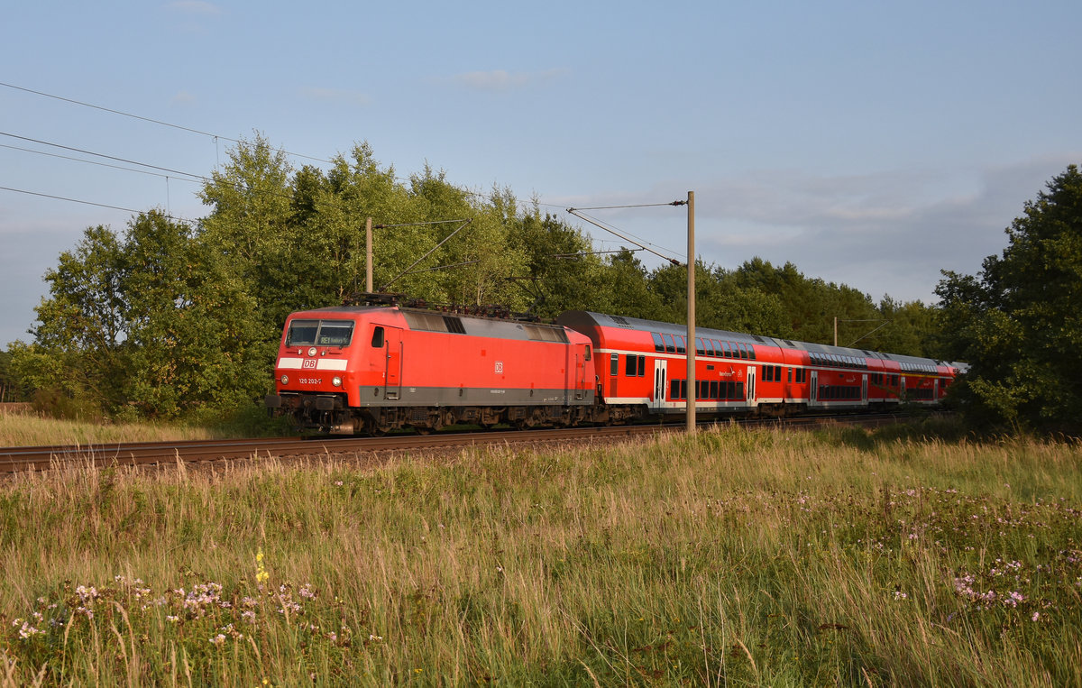 In Front die 120 202-7 als RE1 des Hanse-Express, unterwegs in Richtung Hamburg. 3km östlich von Büchen, 28.08.2018.