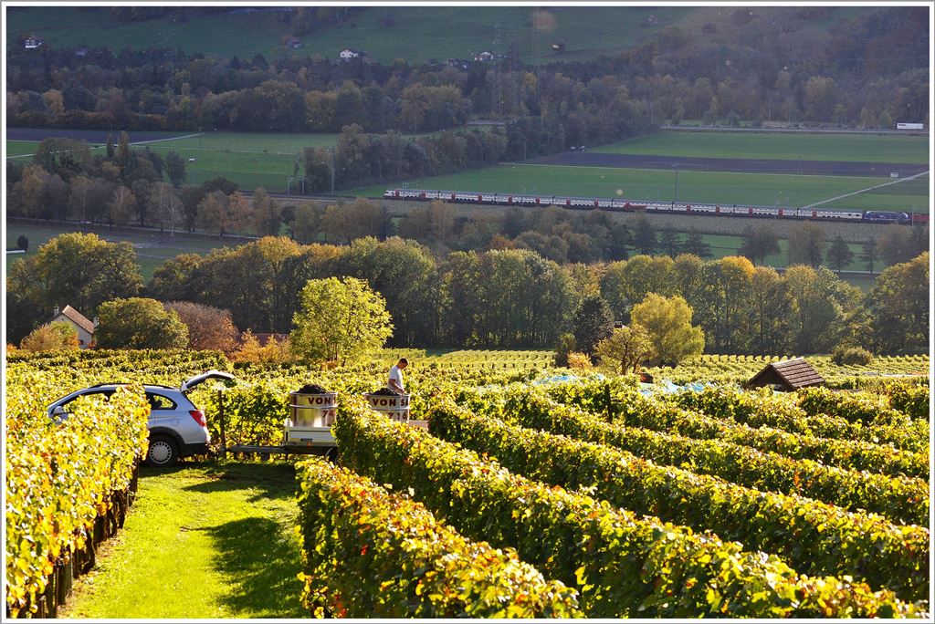 In der Gegenrichtung ist ein IC unterwegs nach Chur. (24.10.2013)