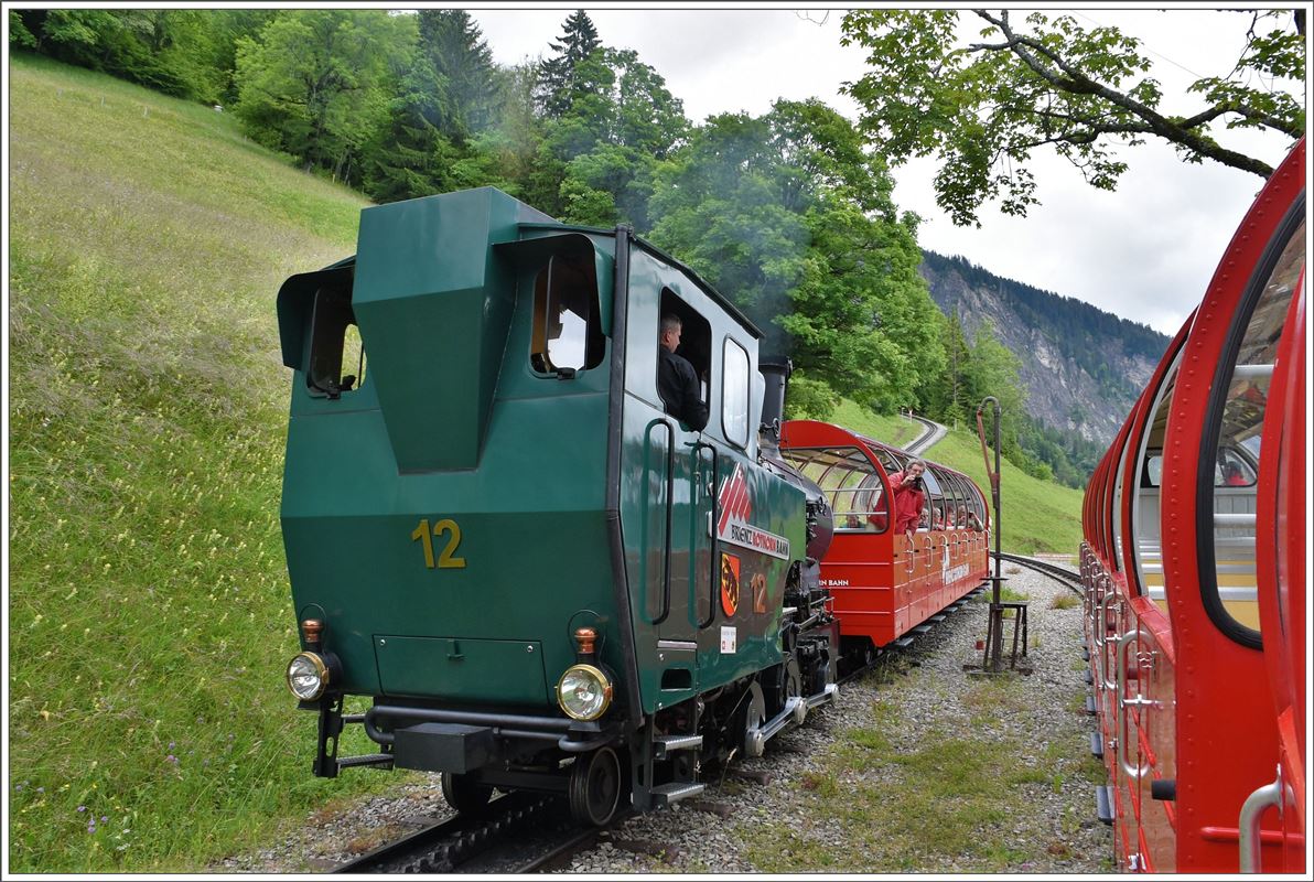 In Geldried kreuzt uns ein weiterer Zug mit Lok 12. (20.06.2016)