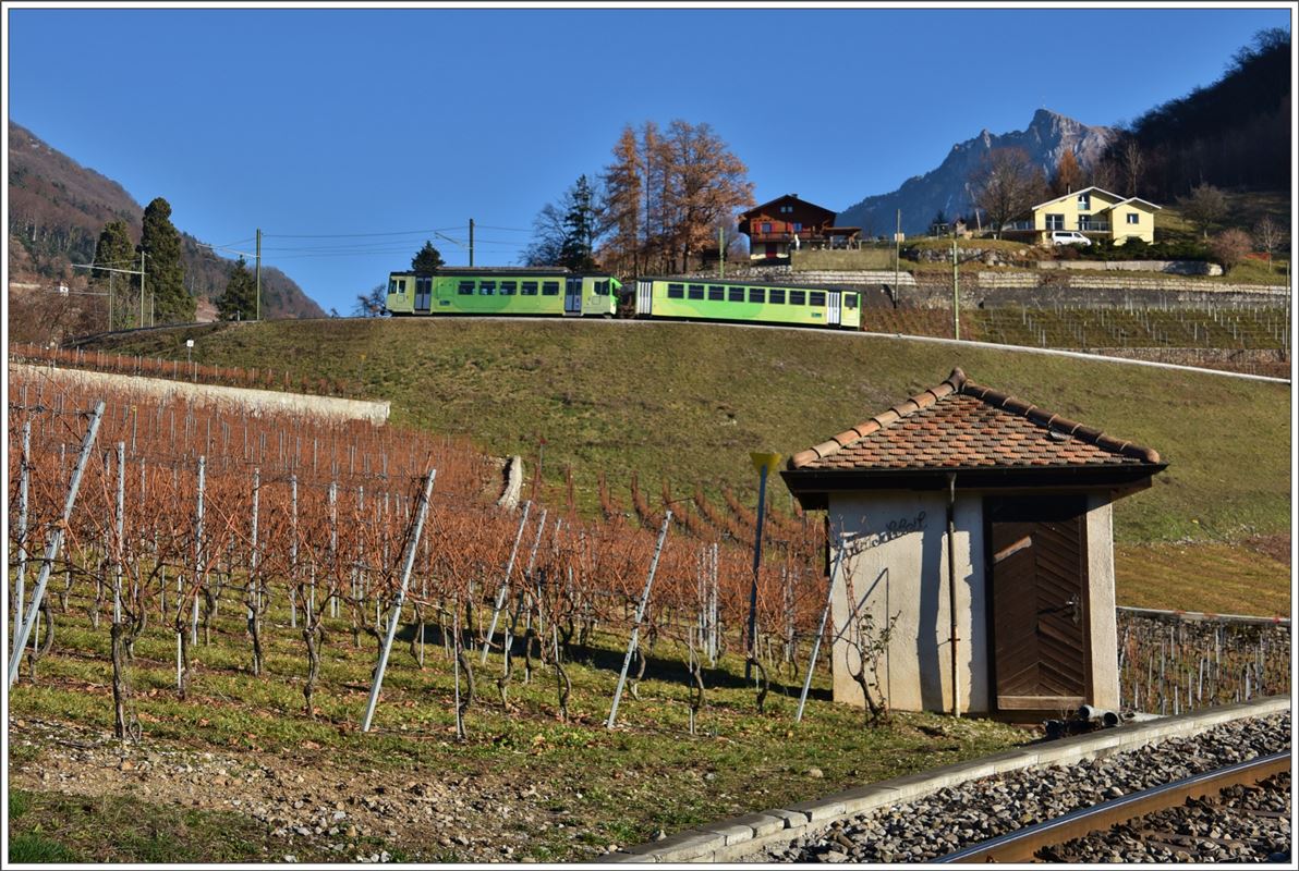 In grossen Schlaufen fährt die TPC oberhalb von Schloss Aigle durch die Weinberge talwärts. Aigle Les Murailles, dieser Tropfen ist schweizweit bekannt. (14.12.2016)