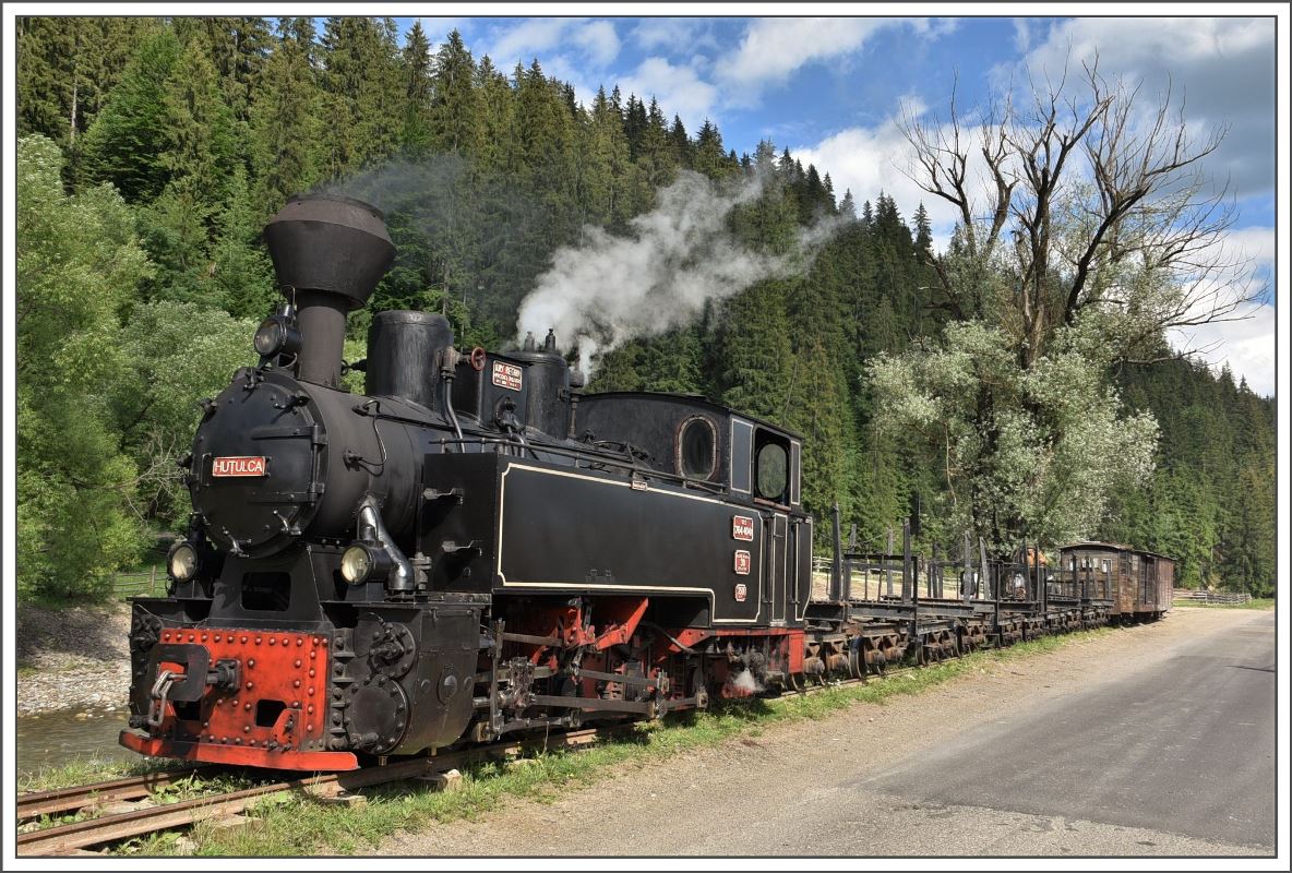 In Gura Lobin stillt 764.404R ihren Durst mit Wasser aus dem nahen Bach. (14.06.2017)