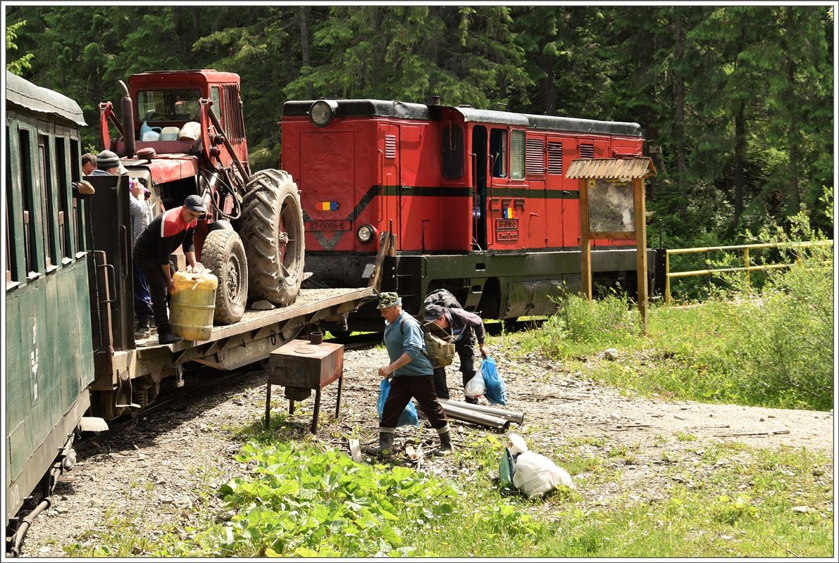 In Gura Stevioarei zweigt eine 2km lange Nebenstrecke ab. Einige Waldarbeiter mit viel Material steigen hier um. (12.06.2017)
