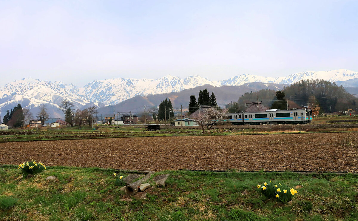 In den japanischen Alpen. Frühmorgens Triebwagenzug E127 Nr. 110 im Aufstieg nach Shinano Moriue. 21.April 2022 