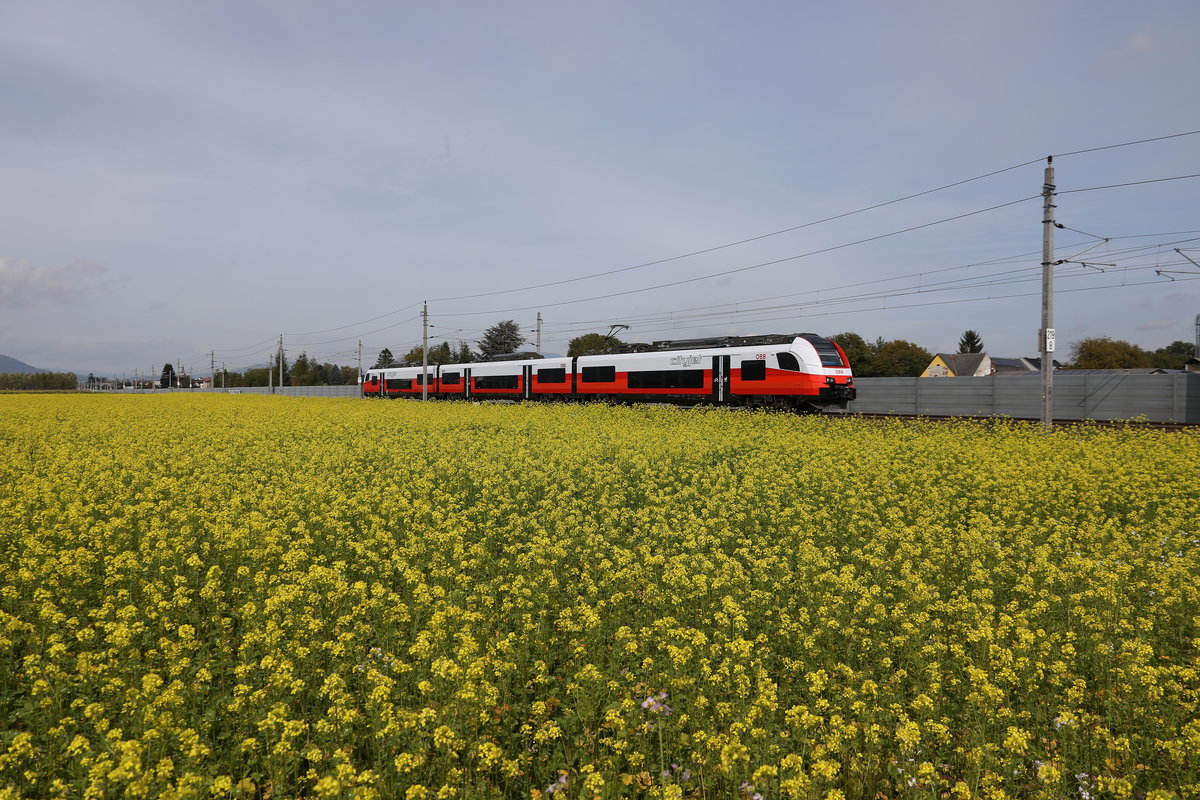 In jeder Hinsicht einen  Riecher  hatte ich als ich am Weg zum nächsten Kunden an der Haltestelle Graz Flughafen vorbeifuhr. 
Das in Vollblüte stehende Rapsfeld war nur eines von vielen und duftete gewaltig. 
Ein  Cityjet bremst die nächste Haltestelle an . 

4.10.2017