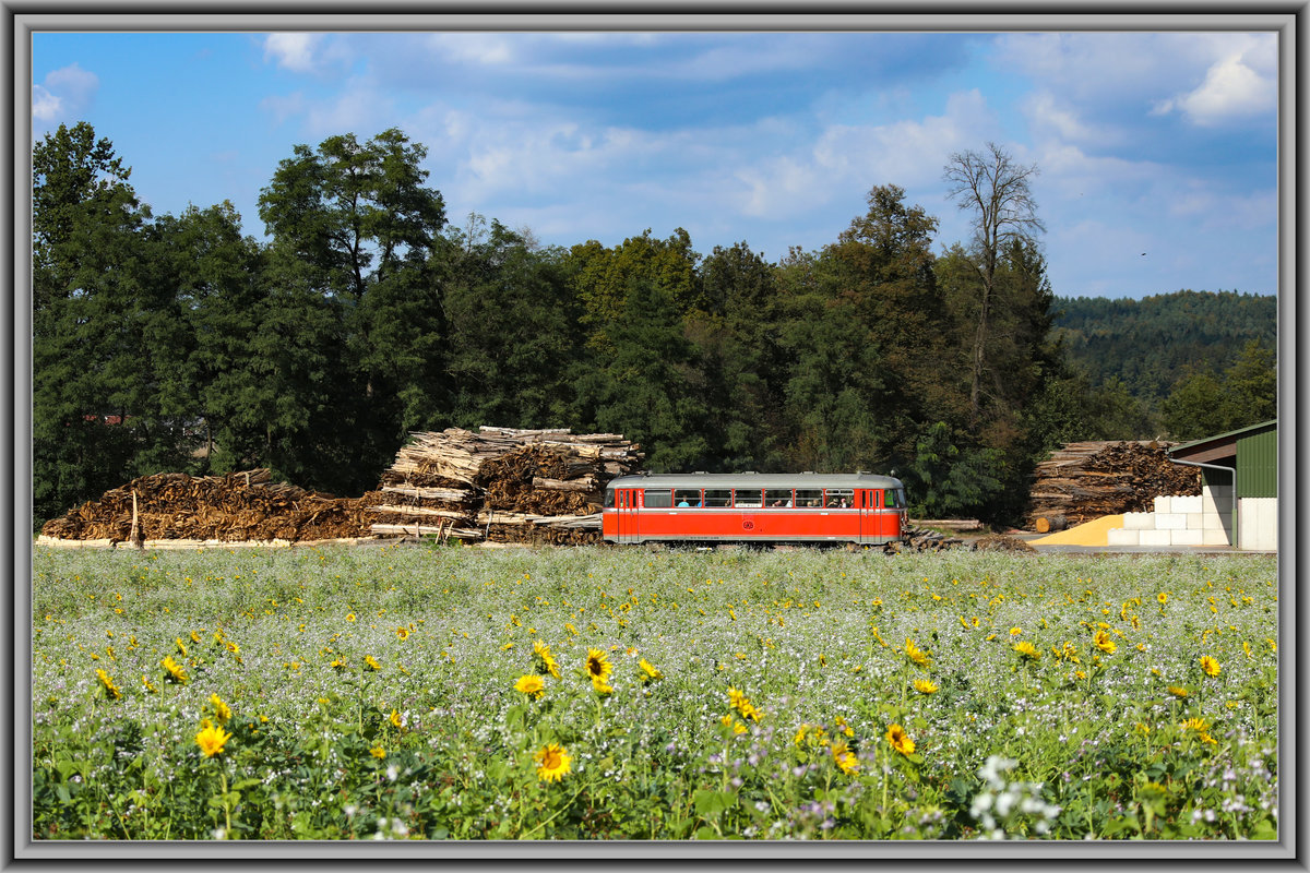 In den letzten Jahren hat sich auf den heimischen Feldern die Aussaat von Gründüngung immer stärker durchgesetzt. 
Für uns Fotografen doch besser als braune nackte Felder. 
Hier VT 10.02 am Mittag des 29.09.2018 bei Dietmannsdorf. 