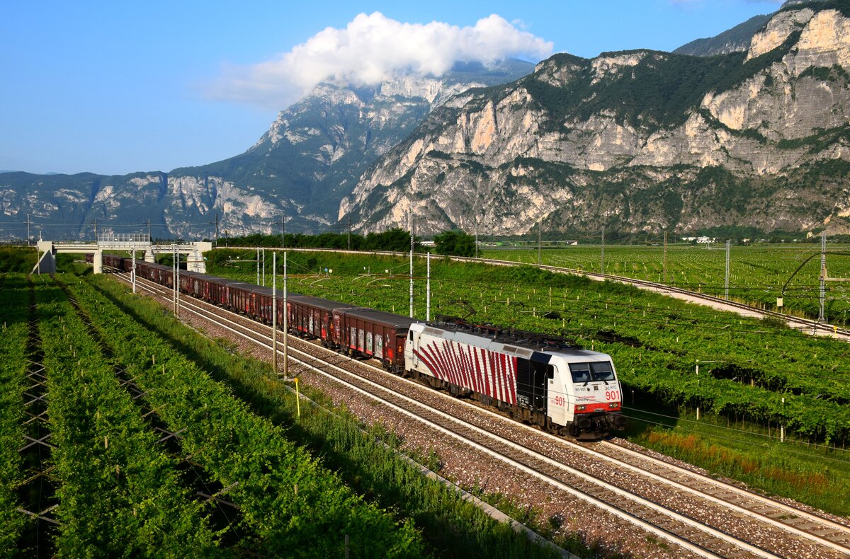 In Mezzocorona können wir Zügen mit einem wunderschönen Hintergrund fotografieren.
Am Morgen des 07.05.2024 wird die Zebralokomotive 189 901 mit einem Güterzug zum Brenner fahren.
Mezzocorona, 05.07.2024.