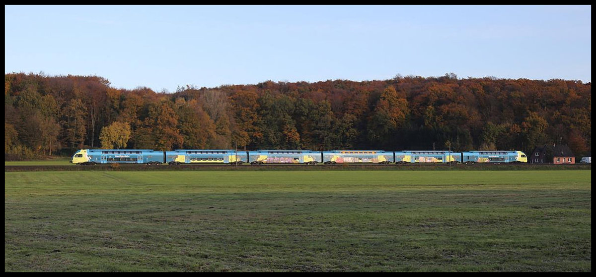 In  passender  Herbst Lackierung fährt hier am  8.11.2019 um 09.00 Uhr der WFB Doppelstock Triebwagen nach Braunschweig am herbstlich gefärbten Wald zwischen Laggenbeck und Velpe entlang.