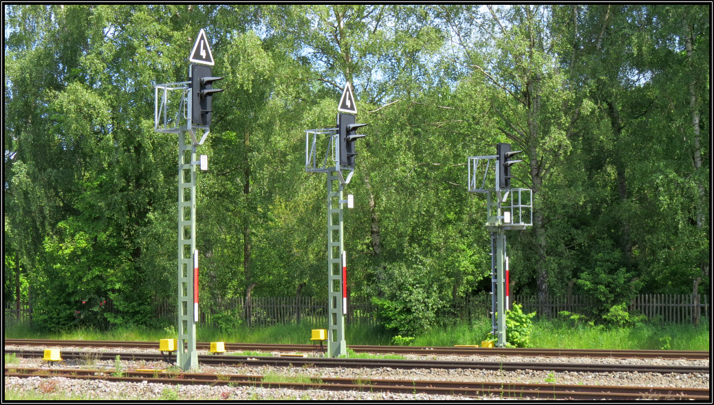 In Reih und Glied nebeneinander,die Ausfahrtssignale in Richtung Kall,gesehen am Bahnhof Blankenheim Wald an der Eifelstrecke (Kbs 474) am 14.Juni 2015.