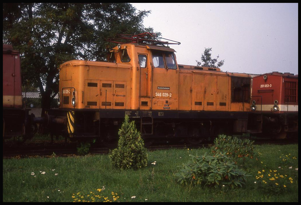 In einer Reihe abgestellter Diesellokomotiven stand am 6.10.1992 im BW Hoyerswerda die mit Dachstromabnehmer versehene 346029.